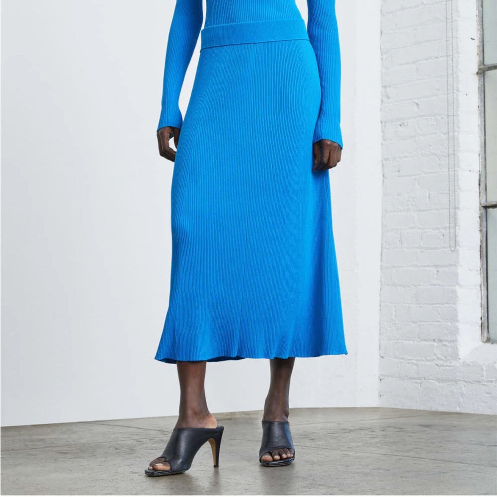 Everlane Ribbed Knit Skirt